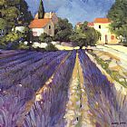 Lavender Fields by Philip Craig
